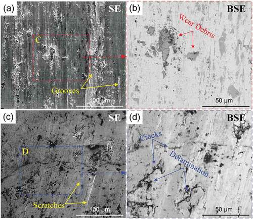 Figure 12. Wear morphologies: (a) SE images of the substrate and (b) the magnified BSE image for the marked region C; (c) SE image of the in-situ TiC-Ni composite coating and (d) the magnified BSE image for the marked region D.