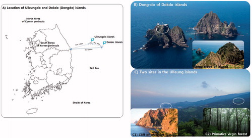 Figure 1. Geographical location and segregation of each sampling site. (A) Geographical location of the Ulleungdo and Dokdo Islands. The two volcanic islands are ecologically segregated from mainland and each other. (B) Site 1: Dongdo island of the Dokdo Islands. (C) Ulleungdo Islands; (C1) Site 2: Sadong, slope cliff near the seashore, (C2) Site 3: Primitive virgin forest in Taeha in the Ulleungdo Islands. The sampling sites are circled. The map images were downloaded from the Cultural Heritage Administration of Korea (CHA) Portal Site (http://www.heritage.go.kr/heri/idx/index.do., accessed on 21 October 2020) and modified for this study.