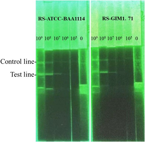 Figure 4. The sensitivity of the LFICS labelled with dual FITC.