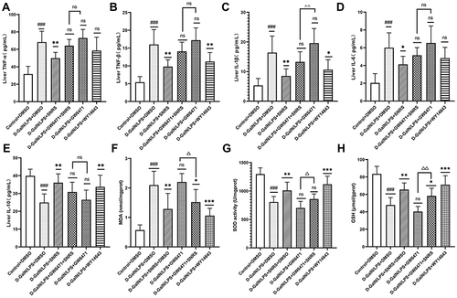 Figure 9 SNRS attenuates oxidative stress and inflammation in liver tissue. Changes in cytokines TNF-α (A), TNF-β (B), IL-1β (C), IL-6 (D), and IL-10 (E) in liver tissue with different drug treatments. Changes in oxidative stress-related indexes MDA (F), SOD (G), and GSH (H) in liver tissue with different drug treatments. #Model group compared with control group, ###P<0.001. *Compared to model group, *P<0.05, **P<0.01, ***P<0.001. ΔGW6471 group compared with GW6471+SNRS group, ΔP<0.05, ΔΔP<0.01.