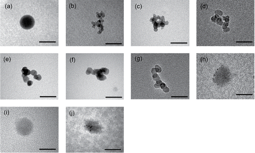 Figure 4. TEM images of typical particles with electrical mobility diameters Dm of 100 nm. (a) PSL particle, (b) Diesel A (high idle): Agglo, (c) Diesel A (high torque): Agglo, (d) Diesel B 60 km/h: Agglo, (e) DISI A 20 km/h: Agglo, (f) DISI A 60 km/h: Agglo, (g) DISI B 60km/h: Agglo, (h) PFI A 80 km/h: Non-agglomerate-tra, (i) PFI B 80 km/h: Non-agglomerate-tra, (j) LPG A 60 km/h: Non-agglomerate-tra. Scale bars with a length of 100 nm are included for reference. Agglo: Agglomerate electron-opaque particle, and Non-agglomerate-tra: Non-agglomerate electron-transparent particle.