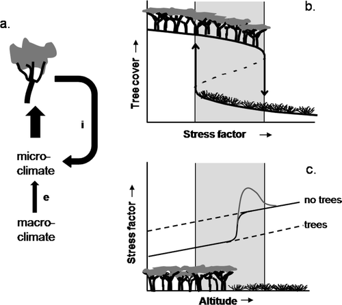 FIGURE 2 Emergence of abrupt treeline transitions in time and space. (a) Tree growth is determined by the microclimate, which is determined by the external macroclimate [e] and modifications caused by the vegetation itself [i]. Depending on the strength of i relative to e, the vegetation will be more (large e) or less (large i) coupled to the external climate and hence more or less sensitive to climatic changes. (b) Hysteresis fold demonstrating the alternative stable states of forest and alpine vegetation existing under the same external environmental conditions (gray area; at treelines the stress factor can be e.g., freezing temperatures, wind, or high solar radiation). Abrupt (‘catastrophic’) transitions from forest to alpine vegetation or vice versa can occur at threshold conditions or due to disturbances. (c) Changes in microclimatic conditions as a result of vegetation cover. Some stress factors can be aggravated just outside tree stands (gray graph) due to redirection of wind and snow. Adapted from CitationBader (2007).