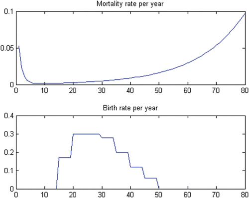 Figure 7. Mortality and fecundity as functions of age.