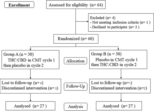 Figure 1 Consort flow diagram.