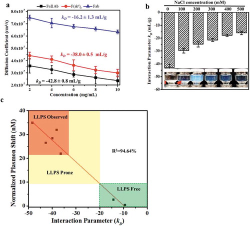 Figure 4. Correlation of LLPS with mAb-X self-association. (a) Plot of self-diffusion coefficients against protein concentration to obtain the kD for full mAb-X IgG, F(ab′)2, and Fab. The samples were prepared in 50 mM Tris-HCl, pH 7.4. (b) The effects of sodium chloride on the kD of mAb-X in 50 mM Tris-HCl, pH 7.4. (c) Correlation of kD (obtained by DLS) and plasma shift (obtained by AC-SINS) for seven mAbs.