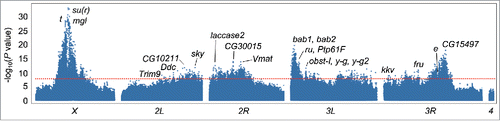 Figure 2. Manhattan plot for the xQTL mapping GWA analysis, combined across all generations. Gene symbols for loci implicated by the mapping are given. The Bonferroni corrected significance threshold (P = 8.39 × 10−8) is indicated by the horizontal dashed line.