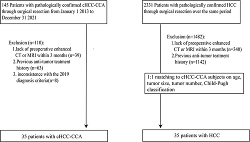 Figure 1 Flowchart demonstrating recruitment pathway for the population.