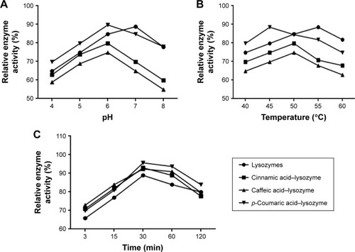 Figure 3 Relative enzyme activity of groups under different conditions.Notes: (A) pH; (B) temperature; (C) time.