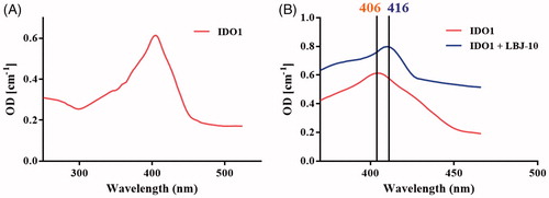 Figure 11. Spectroscopic analysis of LBJ-10 binding. UV spectra of ferric IDO1 without (A) and with 20 μΜ concentration of compound LBJ-10 (B). The Soret’s ratio (A404/A280) of purified IDO1 was 2.15.