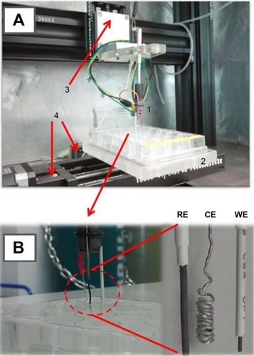 Figure 1 The device (A) for robotic antibiotic electroanalysis in 24-well microtiter plates (B).Notes: The major components are (1) the three-electrode assembly with a pencil lead-WE, a platinum-CE (counterelectrode), and a Ag/AgCl-RE (reference electrode); (2) the microtiter plate platform; (3) the micropositioning stage for vertical movement of the electrode assembly; (4) two micropositioning stages for lateral microtiter plate movement; and (5) (not shown) a potentiostat and a personal computer for system operation and voltammetry.Abbreviations: CE, counter-electrode; WE, working electrode; RE, reference electrode; WE, working electrode.