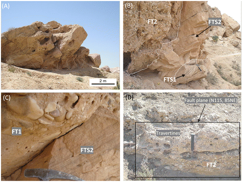 Figure 9. Alluvial fan lithofacies association. (A) Uplifted and extensively eroded fanglomerates and sandstones lithofacies. (B) and (C) Coarser fanglomerates with sandstone facies are developed as debris flows and streamflood deposits. (D) Alluvial deposits interfingering with travertines.