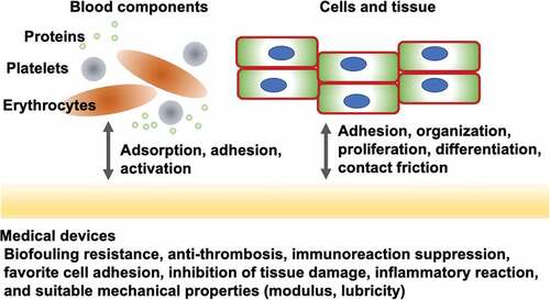 Figure 1. Representative biological reactions of medical devices and their required surface properties.