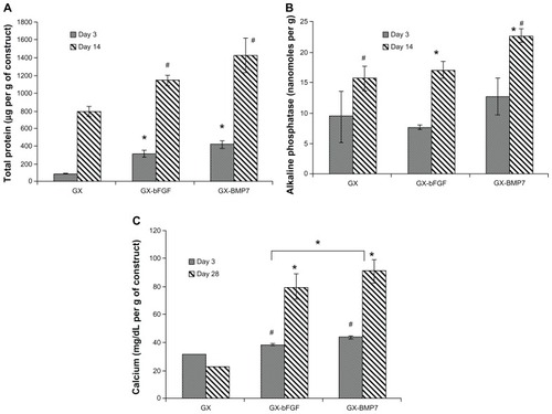 Figure 10 Effect of different growth factors on (A) total protein (B) alkaline phosphatase (C) calcium content.Notes:#*P < 0.05 as compared to controls and within groups.Abbreviations: GX, gellan:xanthan; bFGF, basic fibroblast growth factor; BMP, bone morphogenetic protein.