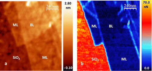 Figure 4. (a) Contact-mode topography image obtained with a normal load of  nN in vacuum conditions. The region comprises a graphene monolayer (ML), a bi-layer (BL) and the bare SiO substrate. (b) Friction force () map of the same region of panel (a). A marked difference between graphene region and the SiO substrate is clearly visible and it masks the small difference between ML and BL friction force. The analysis of the friction distribution histogram shows that the friction signal is relatively high on SiO ( nN) and decreases nearly ten times moving to the graphene covered regions (ML:  nN; BL:  nN). From Ref. [Citation107], copyright 2015, IOP Publishing.