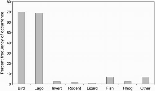 Figure 4 Percent frequencies of occurrence of prey categories in 219 stoat dens, Tasman Valley 2000–2002. Lago = lagomorph, Invert = invertebrate, Hhog = hedgehog.