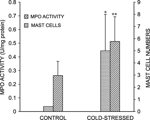 Figure 4 Effect of chronic cold stress on intestinal myeloperoxidase (MPO) activity and number of mast cells. For MPO, values are mean ± S.D. Mast cell numbers were enumerated as average number of mast cells stained per duodenal section. *P < 0.05, **P < 0.01 vs. control.