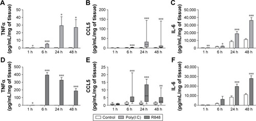 Figure 1 Time course of cytokine release from poly(I:C)- and R848-stimulated lung tissue.Notes: The release of TNFα (A and D), CCL5 (B and E), and IL-6 (C and F) from poly(I:C)- (100 μg/mL) (A–C) and R848-stimulated (10 μg/mL) (D–F) whole tissue explants from smokers and COPD patients (pooled, n=13) were measured after 1, 6, 24, and 48 hours. Data presented as mean with SEM (TNFα and IL-6) or median with range (CCL5). *, **, ***Refer to significantly above time-matched unstimulated control (P<0.05, 0.01, 0.001, respectively). Results were obtained using paired t-tests (TNFα and IL-6) and Wilcoxon matched-pairs test (CCL5).Abbreviations: TNFα, tumor necrosis factor α; IL-6, interleukin 6; COPD, chronic obstructive pulmonary disease; SEM, standard error of the mean; h, hour(s).