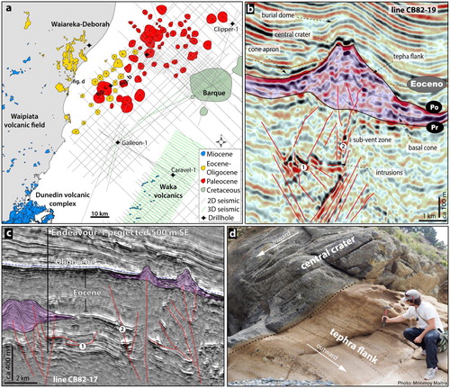 Figure 11. (a) Map showing the location and age of volcanoes onshore and offshore eastern South Island (Horomaka Supersuite). Onshore volcanic rocks are from GNS Geological Map (Heron Citation2014). (b,c) 2D sections showing the age and morphology of small-volume cone-type volcanoes buried in the Canterbury Basin. Numbers are: (1) intrusions; (2) conduits. (d) An outcrop within the Kakanui Head, a volcano of the Waiareka-Deborah volcanic field showing an angular contact between amalgamated and poorly-sorted pyroclastic beds inward-dipping towards the central crater of the edifice, while well-sorted and tabular beds dip outward.