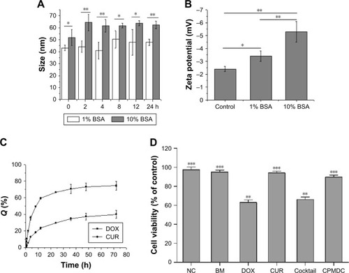 Figure 2 Characterization of CPMDC obtained under the optimal formulation.Notes: (A) Particle size in 1% or 10% BSA at 37°C for 24 h (*p<0.05 and **p<0.01). (B) Zeta potential in 1% or 10% BSA at 37°C for 24 h (*p<0.05 and **p<0.01). (C) Cumulative release profile in PBS at 37°C for 72 h. (D) Effect of various formulations on in vitro viability of H9C2 cells. The cells were seeded into 96-well plates and treated as indicated, and the cell viability was detected by MTT assay after 24 h incubation. **p<0.01 compared with the NC group; ***p<0.01 compared with the DOX group. All data are expressed as mean±SD of triplicate determinations.Abbreviations: CPMDC, complex polymeric micelles co-encapsulating DOX and CUR; BSA, bovine serum albumin; PBS, phosphate-buffered solution; NC, normal control; DOX, doxorubicin; CUR, curcumin; BM, blank micelle.