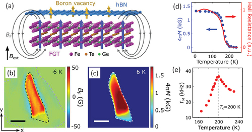 Figure 7. (a) Schematic illustration of quantum sensing of local stray fields generated by a 2D ferromagnetic material. (b) a two-dimensional map of the static stray magnetic field from an exfoliated FGT flake at 6 K with an external perpendicular magnetic field of 142 G. The scale bar is 5 m. (c) Reconstructed magnetization 4 of the exfoliated FGT flake. The scale bar is 5 m. (d) Temperature dependence of spatially averaged magnetization of the FGT flake. (e) Change of the relaxation rate of spin defects near an FGT flake showing a maxima of magnetic noise near the Curie temperature. Reproduced from [Citation30].