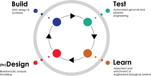 Figure 8. Photo taken from the website of the Synthetic Biology Foundry.