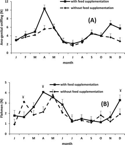 Figure 3. Effect of feed supplementation on the sexual behaviour: Ano-genital sniffing (A) and Flehmen (B) of Saint Croix hair rams grazing buffel grass throughout 1 year (Means ± SEM).*P = 0.03; ¥ P = 0.06.