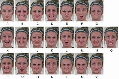 Figure 3. Images exemplifying discrete emotion categories from (Du et al., Citation2014) database.