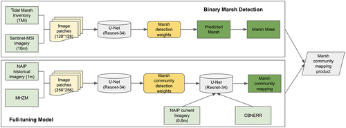 Figure 4. The workflow of the mapping process.