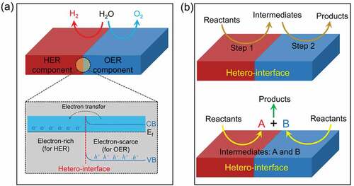 Figure 17. Illustration of the synergic effect on hetero-interfaces. (a) the hetero-interface synergistically facilitates the OER and HER processes. (b) the hetero-interface synergistically facilitates the reaction steps.