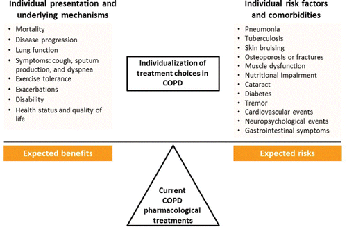 Figure 2. Components of the benefit-risk balance of current COPD treatments. Adapted from (Citation10) with permission.