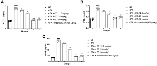 Figure 9 Effect of Edaravone on the inflammatory parameters of CFA induced arthritis rats. (A): COX-2; (B): PGE2 and (C): NF-κB. The data are expressed as the mean ± standard error means (SEM) (n, 10). Dunnett’s test was used for comparisons the data. Where *P<0.05; **P<0.01 and ***P<0.001 was considered as significant; more significant and extreme significant vs CFA control. ###P<0.001 consider as significant and compared with the normal control.