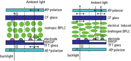 Figure 1. Schematic illustration of the proposed IPS-type PSBP-TRLCD. The left and right sides represent the black state and white states in the absence and presence of an applied field under crossed polarizer, respectively.