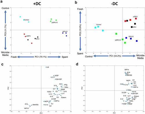 Figure 6. (a, b) Scores and (c, d) Loadings plots for a two-component PCA model constructed using measured cytokines in cultures (a, c) +DC and (b, d) – DC. The percentages noted reflect the percentage of variance in the data set captured in the latent variable.