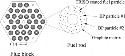 Figure 2 A loading of fuel particles and BP particles in a fuel rod