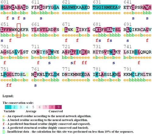 Figure 1. (Colour online) Conservation analysis of amino acid residues in NLRC4 using ConSurf. The colour intensity reflects the degree of conservation. The Q657 amino acid (as indicated in the red box) is conserved and located in the exposed region of the protein.