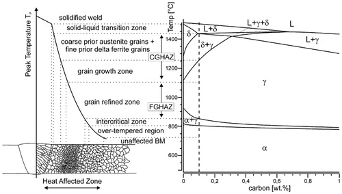 Figure 1. Schematic diagram of various subzones in HAZ of P(T)91 weld and its approximate relation to calculated equilibrium phase diagramCitation7 (courtesy of P. Mayr)