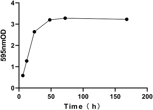 Figure 2 The biofilm formation curve of ATCC 33591.