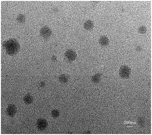 Figure 1. TEM imaging of CellCept nanoliposome.