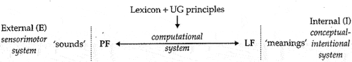 Figure 1. The computational system. Adopted from Cook and Newson (Citation2007a), p.9.