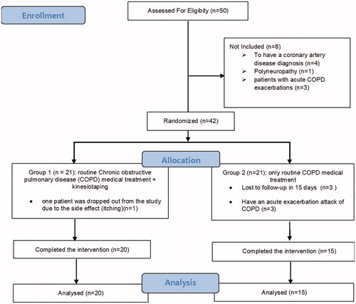 Figure 1. Flow chart of the study.