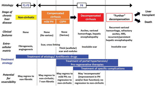 Figure 1. Clinical-pathological classification of cirrhosis and implications for treatment. Cirrhosis consists of several stages, with a range of potential outcomes based on the severity of histological and clinical correlates. Some cases of cirrhosis are more likely to improve than others, especially those of recent onset, characterized by relatively thin fibrous septa; here, etiological or specific antifibrotic therapies may induce regression of cirrhosis. Conversely, mature hepatic scar with thick, acellular, heavily cross-linked fibrous septa, such as those seen in established cirrhosis, may be irreversible; here, treatment of cirrhosis complications or regenerative approaches are likely to be more relevant. F1-4, fibrosis stage 1–4; (CS)PH, (clinically significant) portal hypertension, HRS, hepatorenal syndrome. Figure modified with permission from Wiley© from Garcia-Tsao et al, Now there are many (stages) where before there was one: In search of a pathophysiological classification of cirrhosis, Hepatology (2010)