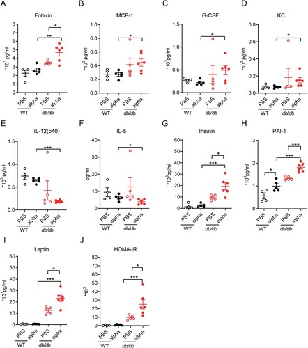 Figure 3. Inflammation related factor level and diabetic related cytokine level in serum was altered in db/db mice following SARS-Cov-2 infection. WT and db/db mice were infected intranasally with 1 × 105 PFU of the alpha strain or PBS. Serum was collected on 7 dpi. Inflammation factors including (A) Eotaxin, (B) MCP-1, (C) G-CS, (D)KC, (E) IL-12(p40), (F) IL-5, and so on was determined using Bio-Plex PeoTM assays. Protein expression of diabetic related cytokine such as (G) insulin, (H) PAI-1, (I) leptin and so on was determined using Bio-Plex Mouse Diabetes assays. (J) HOMA-IR value of mice on 7 dpi. The difference between two groups was determined by unpaired t-test. *p < 0.05; **p < 0.01; ***p < 0.001. Each group contained 5–6 mice. All data was presented as mean ± SEM.