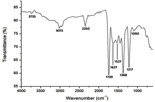 Figure 3 Fourier transform infrared (FTIR) spectrum of biosynthesized AgNPs using culture supernatant of Shewanella sp. ARY1.