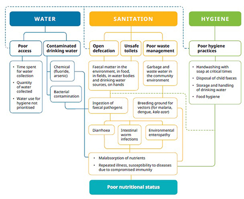 Figure 1 The interlinkages between water, sanitation and hygiene (WASH) and nutrition Adapted from MuraliCdharan (2019).The copyright permission has been obtained from the author, Arundati Muralidharan. Muralidharan A. The interlinkages between water, sanitation and hygiene (WASH) and nutrition. WaterAid India in Health, 9 August 2019. Available from https://www.wateraid.org/in/publications/the-interlinkages-between-water-sanitation-and-hygiene-wash-and-nutrition.Citation15