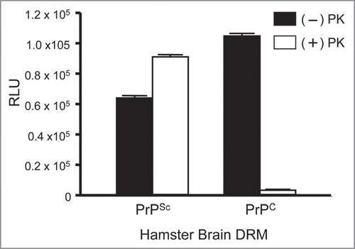 Figure 9 Detection of endogenous prion proteins in normal (PrPC) and diseased (PrPSc) hamster brain DRM fractions by ELISA. Antisera from a prion immunized Prnp0/0/Balbc/J mouse (1:10K) bound DRM fraction from both PrPC and PrPSc in the absence of PK (−); black bars. Detection of PK-resistant PrP27-30 was observed in PrPSc, but not PrPC, DRM fractions following PK-treatment (+); open bars. No binding to any DRM fraction was observed with antisera from non-immunized Prnp0/0/Balbc/J mice. ELISA performed in triplicate and DRM protein normalized to 2 µg/well by BCA. RLU = relative light units. PK = proteinase-K.