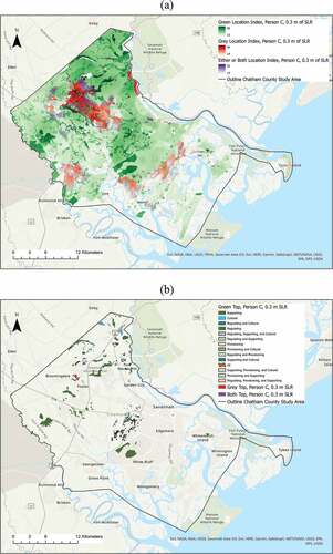 Figure 5. Resulting map for Person C: (a) Gradient of location indices for selection of green, grey, or both infrastructure placement. (b) The top 10% of infrastructure index locations and the service categories that should be prioritized in selecting an infrastructure solution.