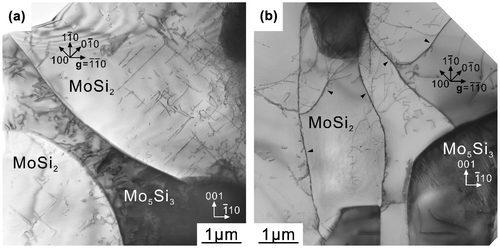 Figure 8. TEM bright-field images of [11¯0]MoSi2-oriented specimens of binary DS eutectic composites deformed at (a) 1000 °C and (b) 1400 °C.