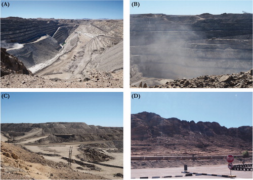 Figure 1 The Rössing uranium mine in Namibia. (A) A view of the open pit from the mine’s southern edge. (B) Dust from the movements of mining equipment. There was no active blasting, which would have created far more extensive dust, at the time of this photograph. (C) Mine tailings deposits large enough to be traversed by several roads. (D) A pipeline transporting water to the mine. Photos by author.