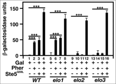 Figure 8. The expression of a plasma membrane-tethered Ste5 cannot re-activate mating-specific gene expression in VLCFA elongation mutants. A FUS1 promoter-driven β-galactosidase reporter assay was used to examine transcriptional activity in the absence and presence of 20 μg/ml α-factor and Ste5Q50L. n = 5; ***p < 0.0001.