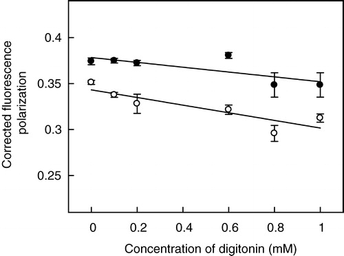 Figure 7. Effect of increasing concentrations of digitonin on fluorescence polarization of membrane probes DPH (○) and TMA-DPH (•) in hippocampal membranes. Fluorescence polarization experiments were carried out with membranes containing 50 nmol phospholipid at a probe to phospholipid ratio of 1:100 (mol/mol) at room temperature (23°C). The data show corrected fluorescence polarization values (as described in Materials and methods, and representative plots shown in Figure 6) and represent the means±SE of at least three independent experiments. The solid lines are linear fits of the data. See Materials and methods for other details.